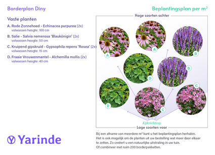 Borderplan Diny – Rabattenpaketsträucher für den kleinen Garten – Blütenfarbe Lila und Weiß – Halbschatten – Ab 3 m2