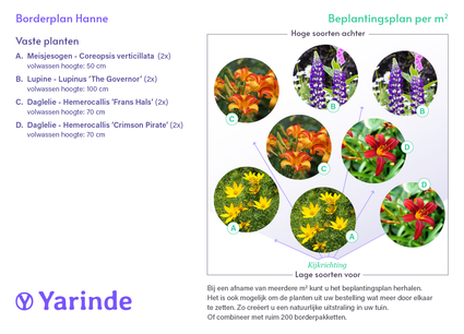 Beetpaket Hanne - Staudenmischung, Mehrfarbige Blumen - Sonne