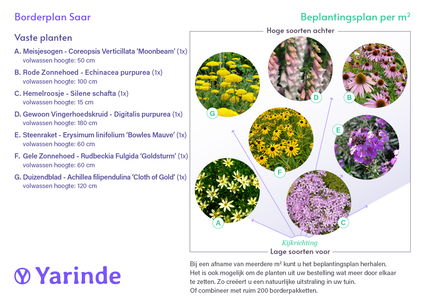 Beetpaket Saar - Schmetterlingsgarten - Stauden Rosa & Gelb - Sonne