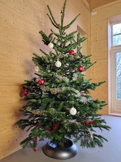 Easyfix Weihnachtsbaumständer Maxi Anthrazit für 2 bis 3 Meter Weihnachtsbaum – XL-Box Durchmesser 49 cm