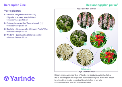 Beetpaket Zinzi – Für einen feuchten Garten – Rosa, Rot und Weiß – Halbschatten und Sonne