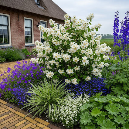 ai sfeerbeeld met passende combinaties met ooievaarsbek, schuimbloem tiarella, zegge carex en ridderspoor delphinium