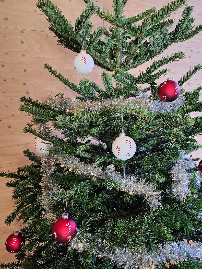 Echter Weihnachtsbaum Angebot - Nordmann gesägt 1,75 oder 2 Meter - Angebot! Echter Weihnachtsbaum Angebot - Nordmann gesägt 1,75 oder 2 Meter - Angebot!