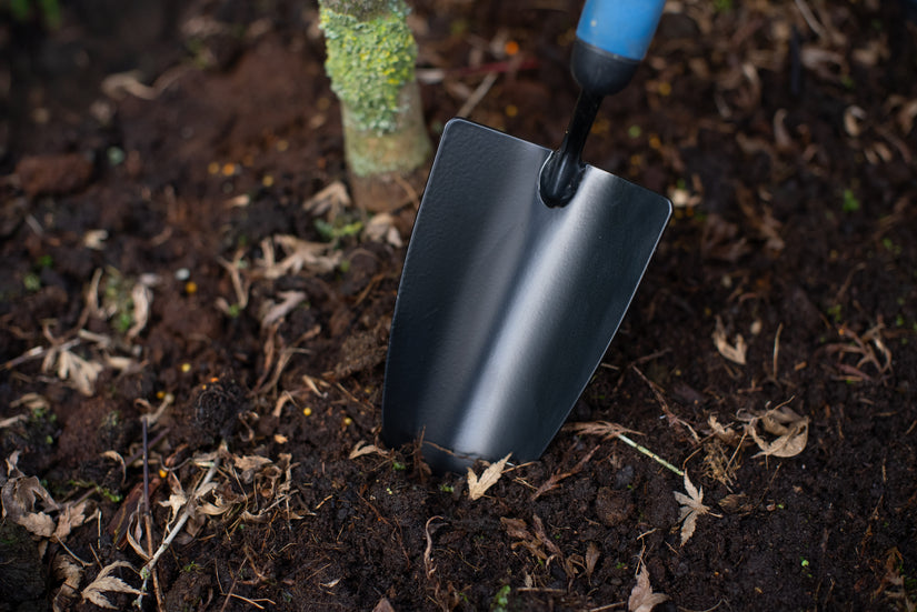 Pflanzkelle schwarz beschichtet - zum Pflanzen von P9-Pflanzen - Wovar Pflanzkelle schwarz beschichtet - zum Pflanzen von P9-Pflanzen - Wovar