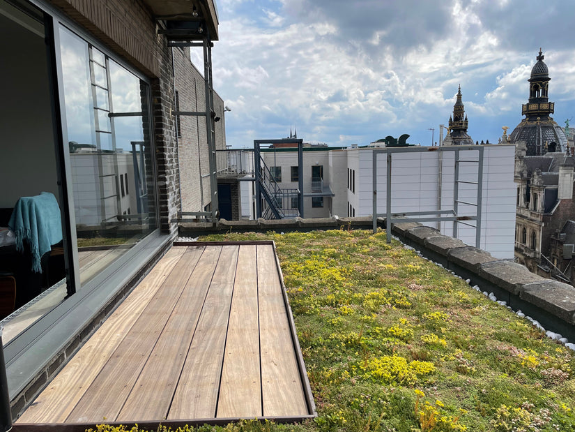 25 m2 groene dak klant foto 25 m2 groene dak klant foto