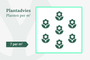 7 planten per m2 7 planten per m2