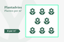 Plantadvies: 8 planten per m2 Plantadvies: 8 planten per m2