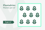 9 Planten per m2  9 Planten per m2