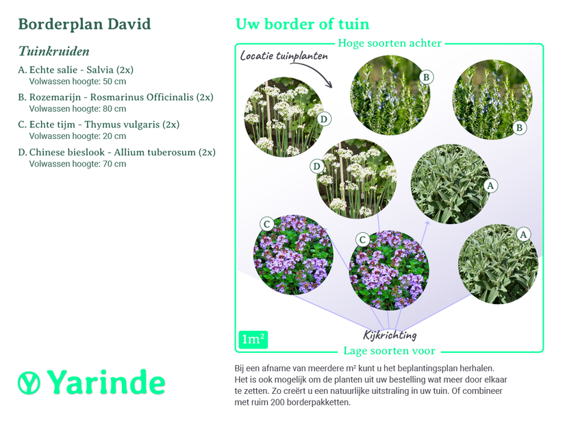 Beplantingsplan borderpakket David Beplantingsplan borderpakket David