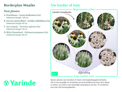 Beplantingsplan Maaike