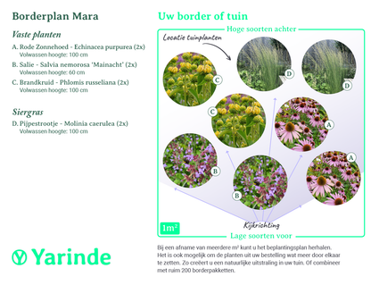 Beplantingsplan Mara