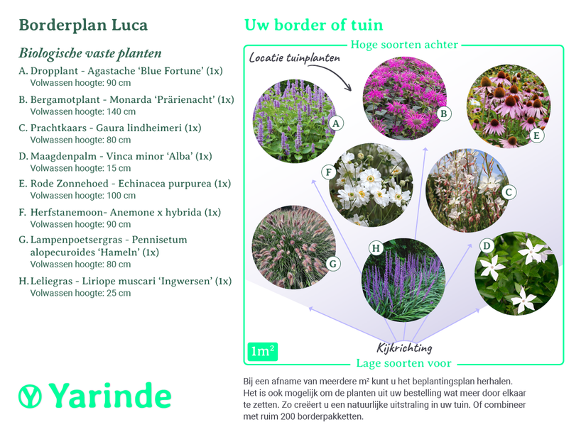 Beplantingsplan Luca - Biologische vaste planten Beplantingsplan Luca - Biologische vaste planten