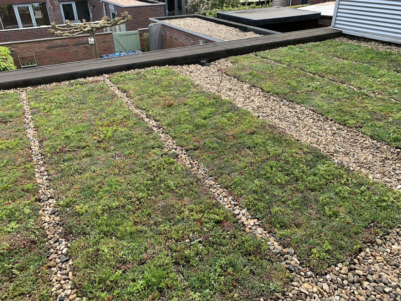 Klantfoto groene dak cassettes yarinde Klantfoto groene dak cassettes yarinde