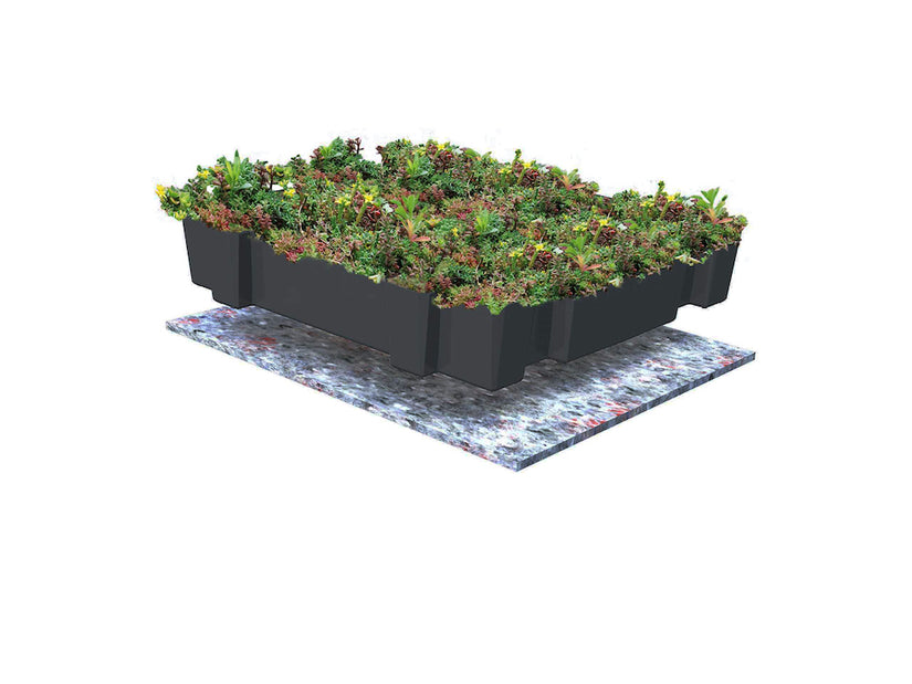 Opbouw groendak aanleggen kliksysteem kant en klaar Opbouw groendak aanleggen kliksysteem kant en klaar