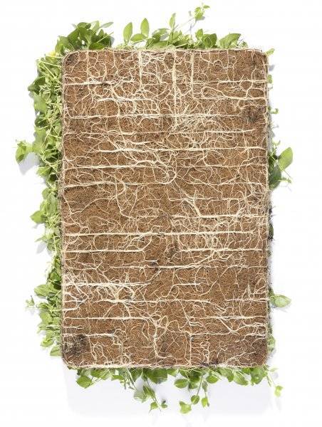 wortelgoed plantenmatten niet meer wachten kant en klaar wortelgoed plantenmatten niet meer wachten kant en klaar