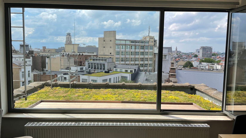 groene daken online bestellen klantvoorbeeld groene daken online bestellen klantvoorbeeld