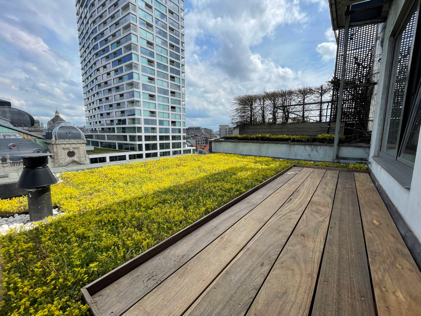 klantfoto 2022 groene dak cassettes klantfoto 2022 groene dak cassettes