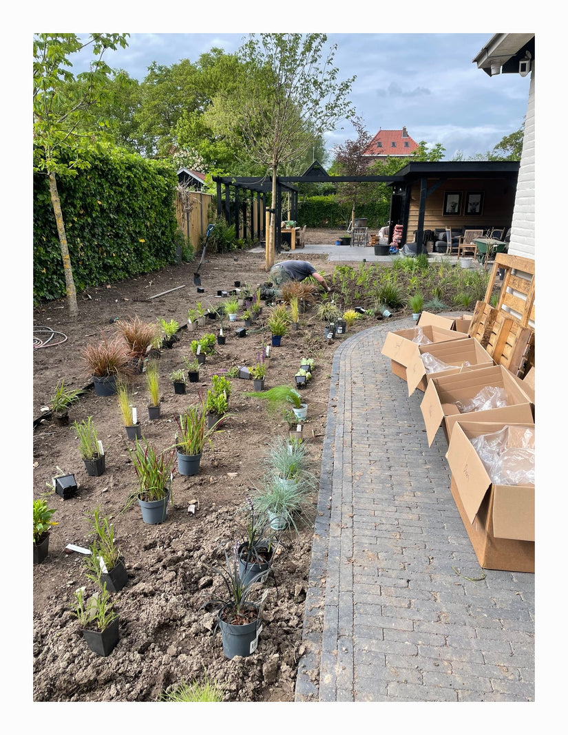 10 m2 Dries - 5 m2 Dina - 5 m2 Maaike 10 m2 Dries - 5 m2 Dina - 5 m2 Maaike