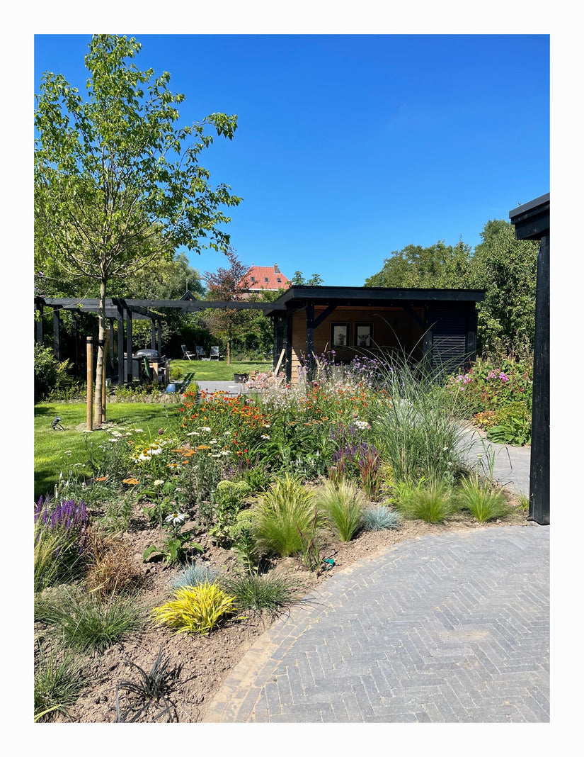 10 m2 Dries - 5 m2 Dina - 5 m2 Maaike 10 m2 Dries - 5 m2 Dina - 5 m2 Maaike