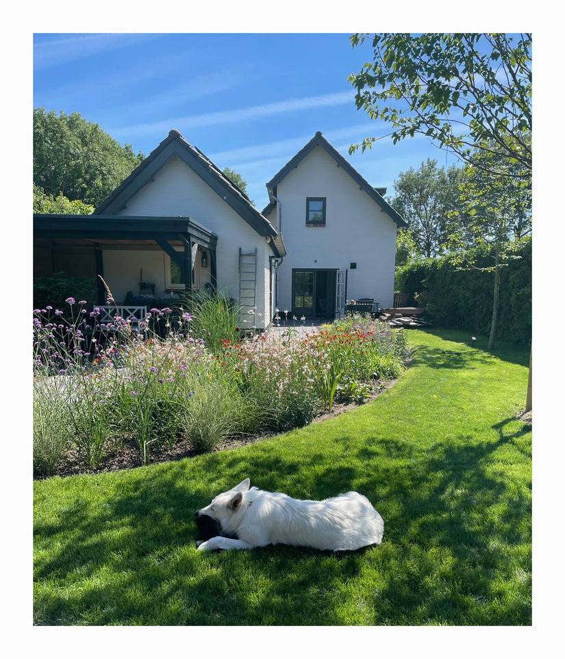 10 m2 Dries - 5 m2 Dina - 5 m2 Maaike 10 m2 Dries - 5 m2 Dina - 5 m2 Maaike