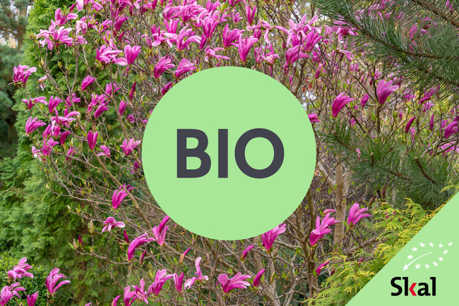 Nieuw bij Yarinde in 2025