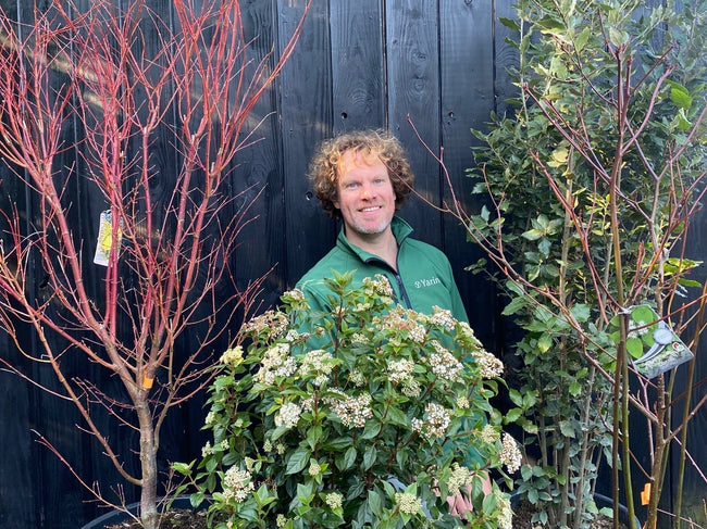 Primeur: Online de mooiste planten voor de tuin zelf uitzoeken