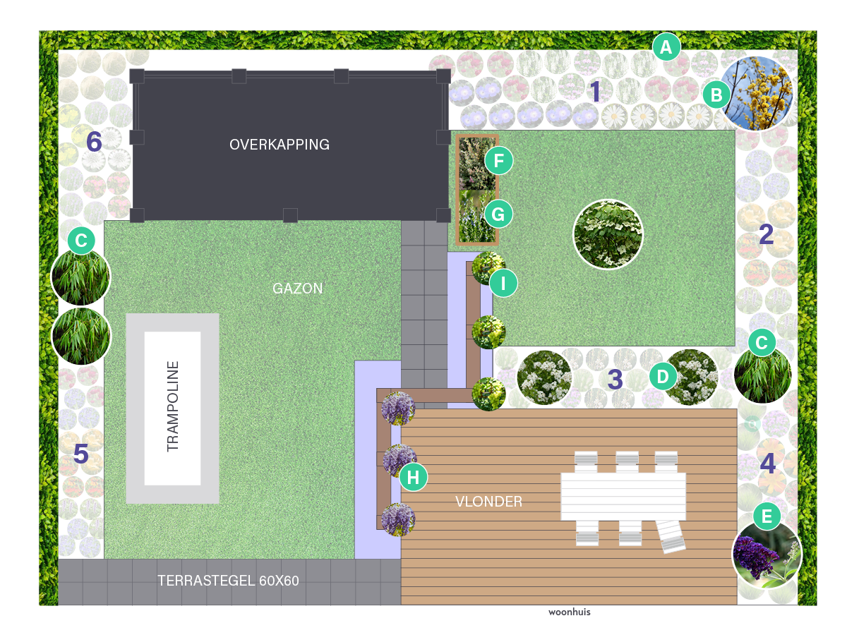 Tuin verbouwen? Tips en waar op letten