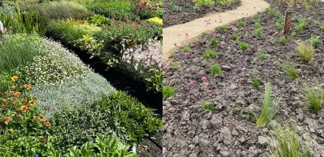 De beste tijd voor het aanplanten van de tuin