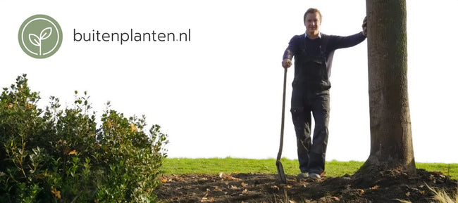 buitenplanten-henri.jpg