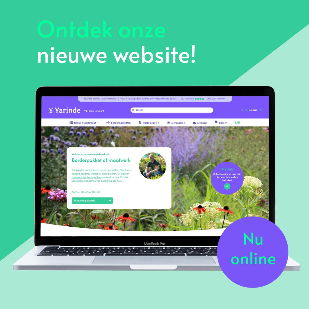 Vernieuwde website Yarinde gelanceerd