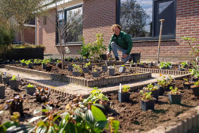 Video vol tips voor aanplanten en borders inrichten