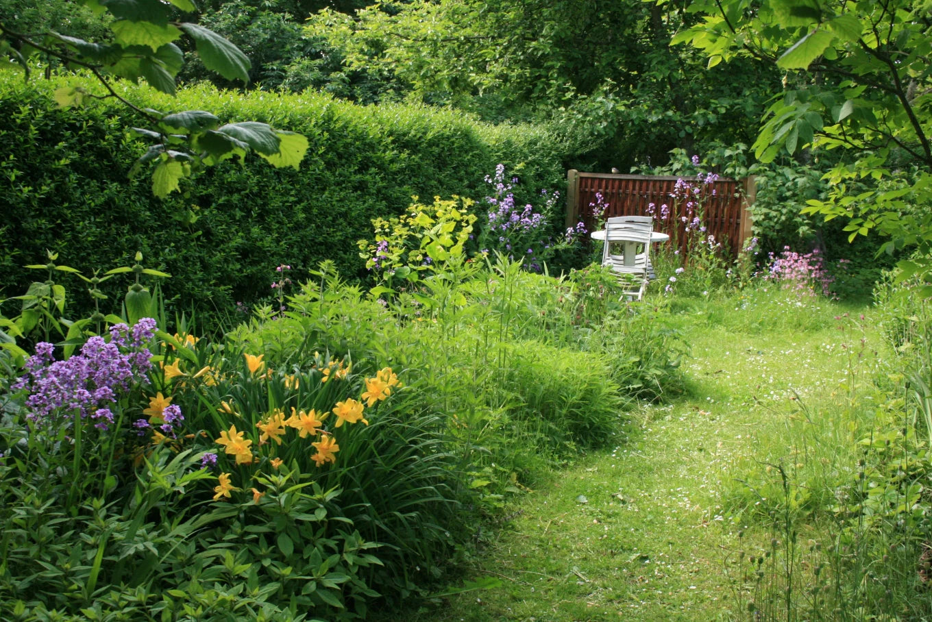 goede-bestuivende-planten-voor-de-tuin.jpeg