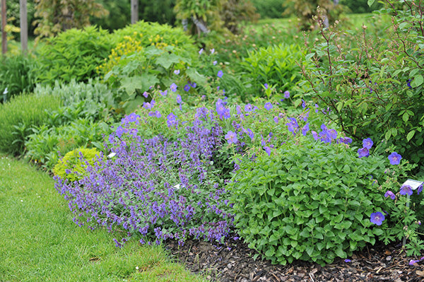 Makkelijk planten aanplanten