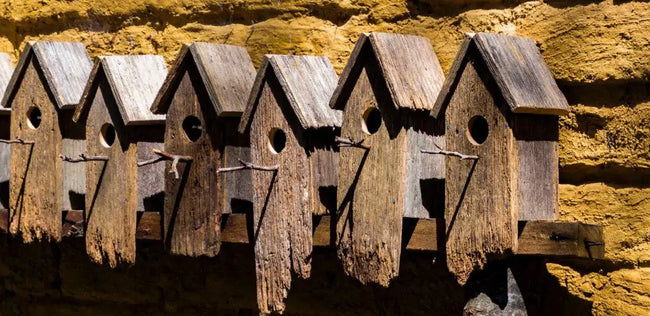 Vogelhuisje in de tuin