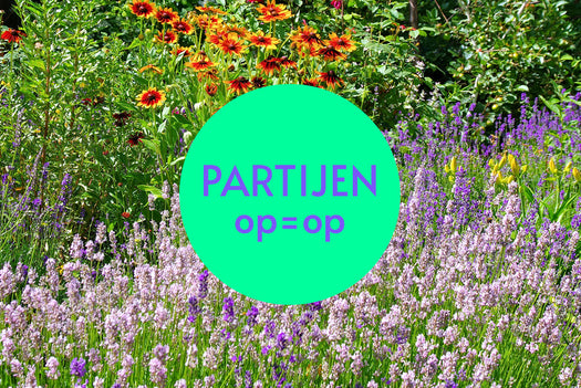 Partijen