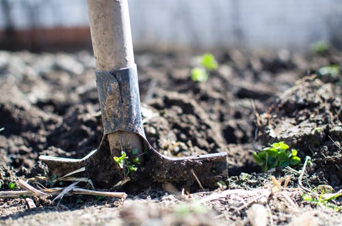 Planten per grondsoort