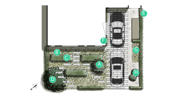Voortuin Tuinontwerp Lianne - Strakke voortuin met veel groen