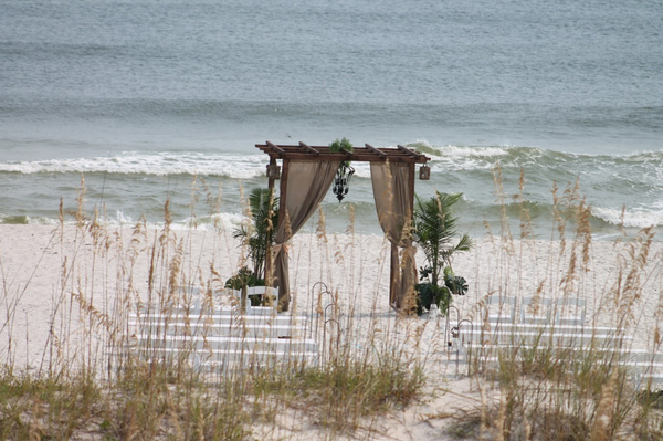 Strandtuin planten