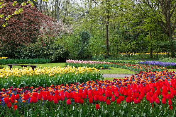 Tuinstijlen