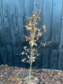 Grüne Buchenhecke - Fagus sylvatica (Immergrüne Buche)