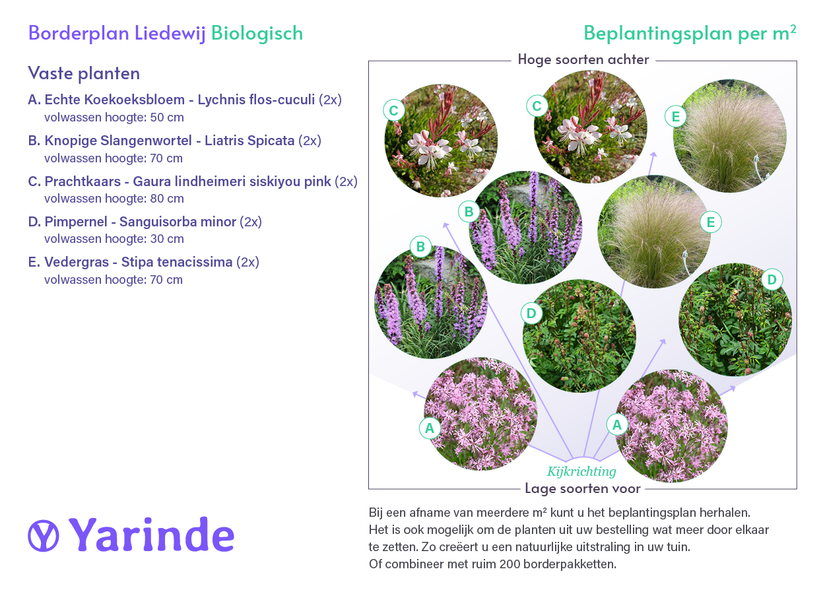 Bio-Beetpaket Liedewij kalkhaltiger Sandboden / sonnig