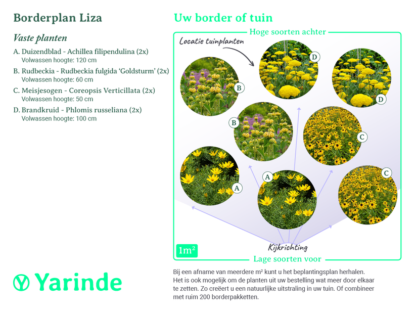 Beetpaket Liza - Stauden Gelb - Präriegarten - So