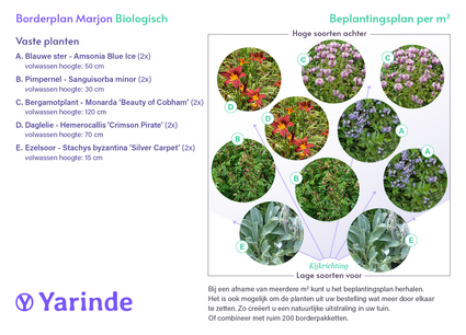 Bio-Beetpaket Marjon Nährstoffreicher Boden Sonnig