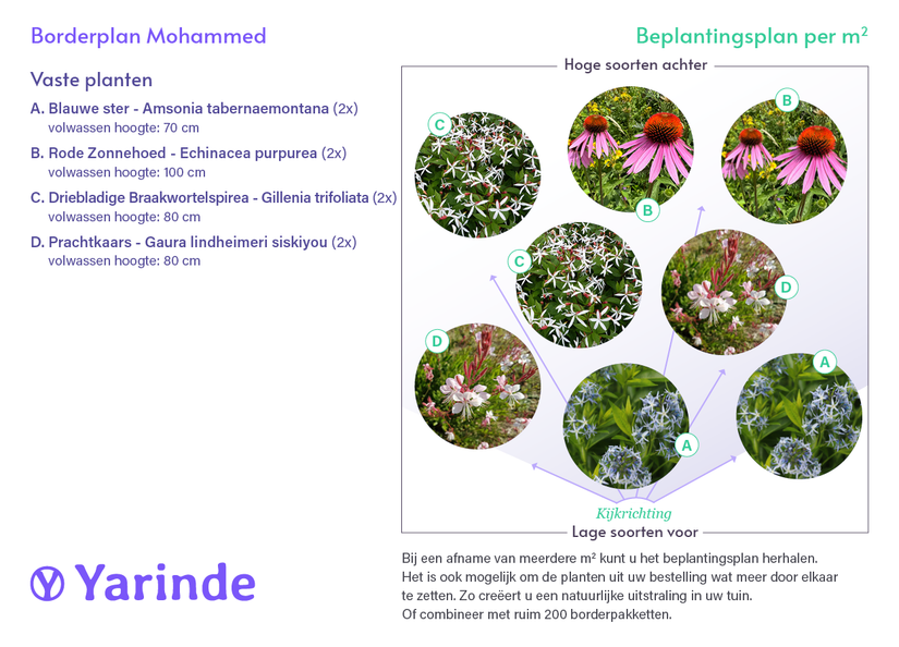 Beetpaket Mohammed - Natürlicher, sonniger Garten