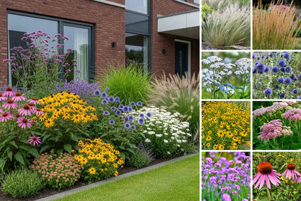 Beetpaket Trocken – Kompletter Präriegarten – Ziergras und Stauden – Lila, Rosa, Weiß und Gelb – Halbschatten und Sonne