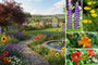 Beetpaket Hanne - Staudenmischung, Mehrfarbige Blumen - Sonne