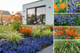Beetpaket Tom – Stauden &amp; Ziergras – ab 2m2 – Blau &amp; Orange – Torfboden – Halbschatten &amp; Sonne
