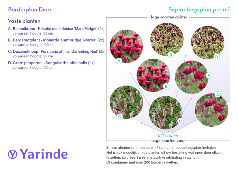 Beetpaket Dina - Stauden Präriegarten mit roten Blüten - So