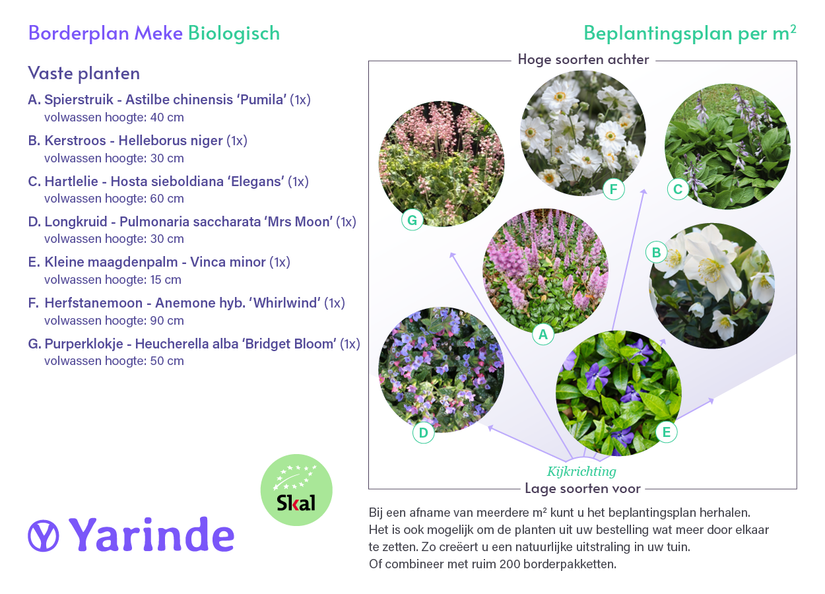 Beetpaket Meke – Langblühende Bio-Stauden für Schatten – pro m2