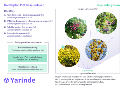 Grenzplan Piet – Grenzpaket aus mittelhohen einheimischen Waldpflanzungen – mittelhoher Pflanzenartenmix